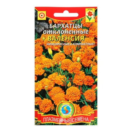 Seeds of velvets stunted Valencia, 45 pcs-2