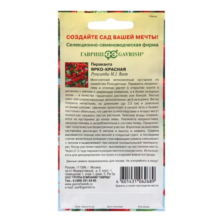 Pyracante seeds "bright red", 5 pcs.-1