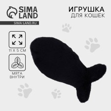 A cat's toy 