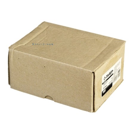 Nails Bison master, thick, galvanized, 2x25 mm, 5 kg-1