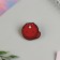 Gift set "Avocado" icon + keychain, 6.8 x 10.5 cm.