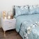 A set with a blanket 1.5 joint venture "Massimo", size 180x230 cm, 150x220 cm, 50x70 cm