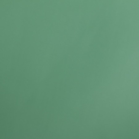Matte film for flowers "Boston", green, 57 cm x 5 m-3