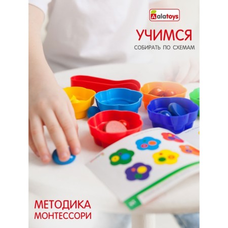 Sorter with tweezers "Cups"-1