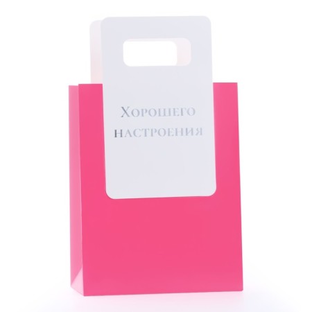 Gift package with a trimmed handle of 18 x 23 x 9 cm, fuchsia-1