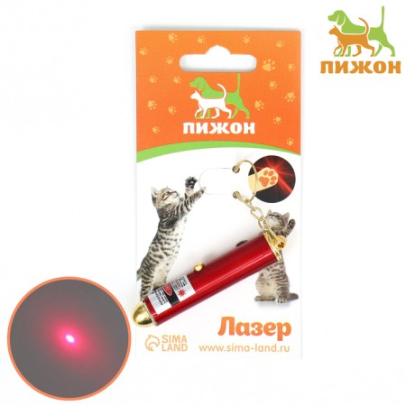 Laser pointer for cats with batteries, red