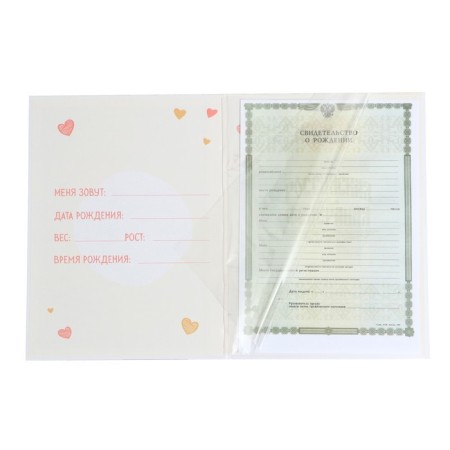 The folder for the birth certificate "Bear", 23.5 x 31.5 cm.-6