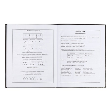 School diary for grades 1-11 "Leo", covered cardboard, glossy lamination, embossing foil, universal cheat sheet, 48 sheets, block 65g/m2-10