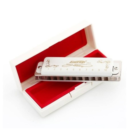 Diathonic harmonica Easttop T008LS C-2