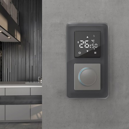 Frame W0022440, 2 Elite sockets, graphite, glass-2