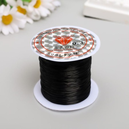 Biser fishing line 0.3 mm 100 m, black