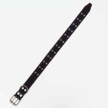 Collar combined leather/tarpaulin, dimensionless, 83 x 4.5 cm, Osh 20-70 cm, blue-2