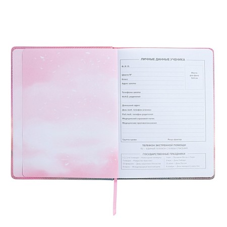 Universal Diary Grade 1-11, 48 sheets "Gray fluff", solid cover of artificial leather, lies, universal cheat sheet, block 80 g/m2-3
