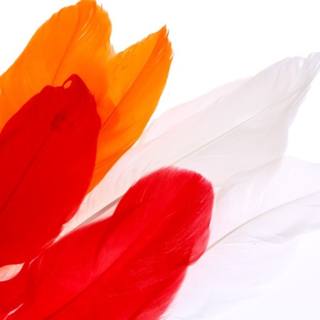Set for creativity: creating a toy from fur sticks and coloring "Funny chicken"-6