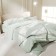 Lovelife linen Duet "Green Tea" 150x215 cm-2 pcs, 225x240 cm, 50x70 ± 3 cm-2 pcs, microfiber 85 grams