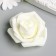 Decor for creativity "Dairy rose is magnificent" d = 7 cm