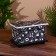 Casket 25x15x15 cm, Albezia