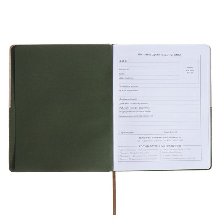 School diary for grades 1-11, 50/50 %, solid cover with foam rubber, artificial leather, silkography, lies, universal cheat sheet, 48 sheets, block 80g/m2-4