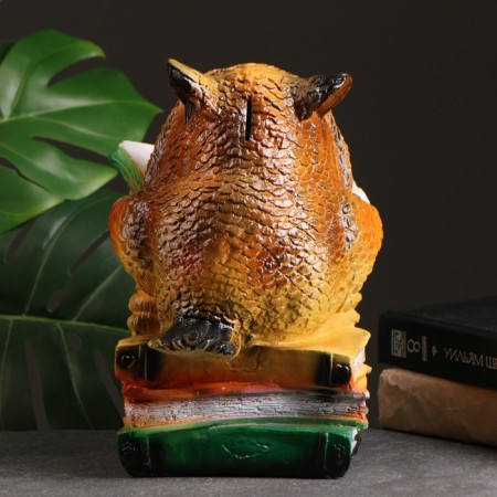 Pigger "Owl with books" 17x18x27cm-2