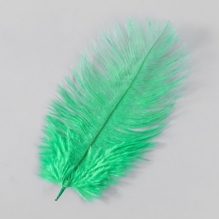 Feather of ostrich 15-20 cm, green-2