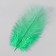 Feather of ostrich 15-20 cm, green