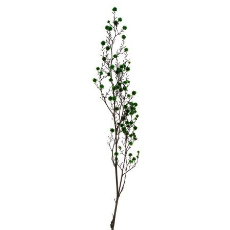 Dry flowers “Molokhay Mile”, 25 g, length - 70 cm, green color-2