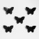 Wall -wall decor "Butterflies" 7.5 x 10.5 cm, black, (set 5 pcs)