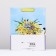 Gift package "Flower bike", 26 x 32 x 12 cm