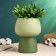 Kashpo - Vase "Mina" Green, 14x14x20cm