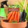 Seed carrots long "leader", without a core, 2 g,