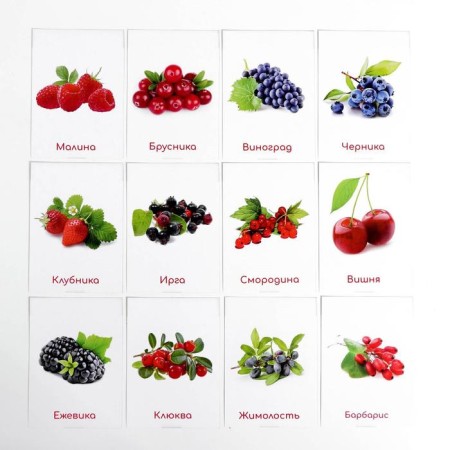 Training cards according to the method of Glen Doman "Berries", 12 cards, A6, in the box-2