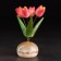 Souvenir "Vase Tulip", 5 flowers, selenite, small, selenite