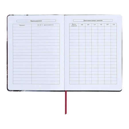 Diary 1-11 Grade "Magnolia", artificial leather, with lisasa, 48 sheets-6