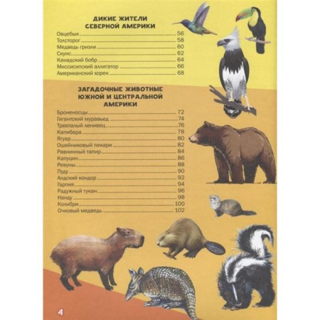 My first big book about animals-2