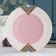 Porcelain dining plate Magistro "Milady", D = 25.3 cm