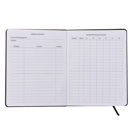 Universal diary for grade 1-11 Nerves, integral cover, artificial leather, silkography, liesse, 80 g/m2-3