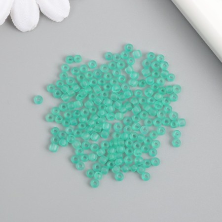 Glass 8/0 "Matte translucent. Emerald tear" 10 g-2