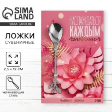 Dessert molding spoon 