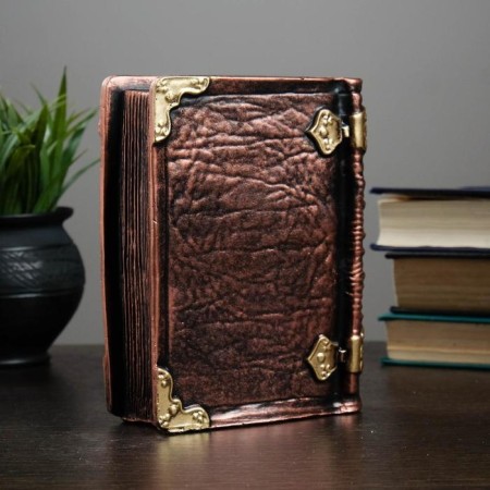 Chekhov Book Pigp. 5.5x13x17cm-1