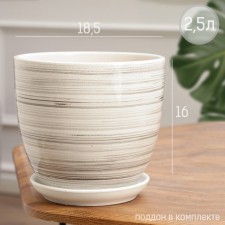 Flower Pot 