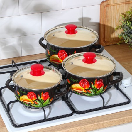 Set of pan "graceful", 3 subjects: 1.5 l, 2 l, 3 l, covers, induction-3