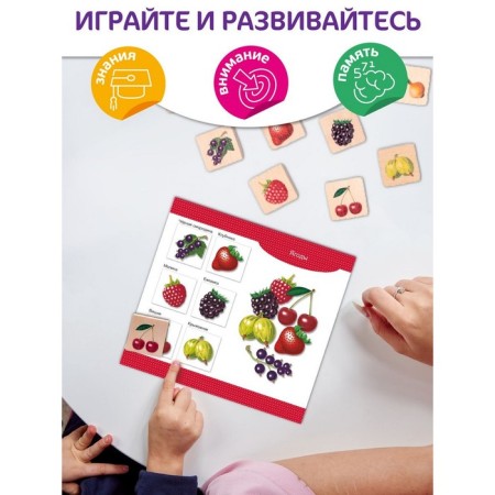 Loto wooden "Vegetables and fruits"-3