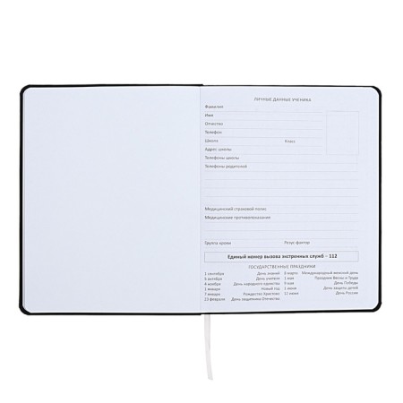 Universal diary for grade 1-11 I’m fine, integral cover, artificial leather, silkography, lies, 80 g/m2-3