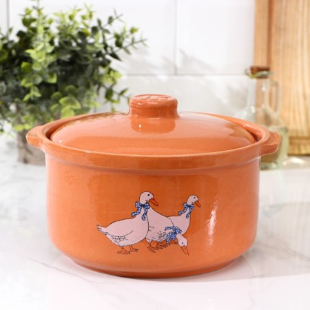 Social-sized pot 2 l of the geese