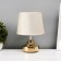 Bulbed lamp with a lampshade Risalux "Shine", 1 × 40 W, E27, 17 × 17 × 24 cm
