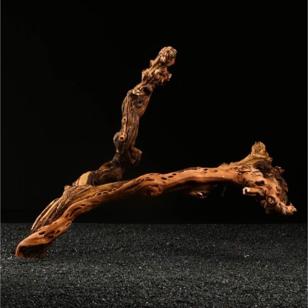 Carpet for the Aquarium "Vine Ginograd", 50 - 60 cm