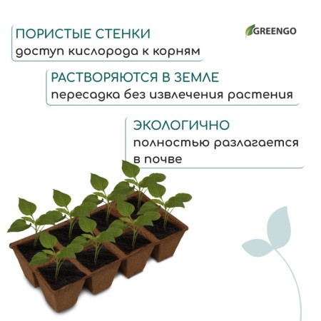 Peat cassette, 8 cells of 250 ml, 7 × 7 cm-4