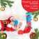 Gift set of developing tactile balls "Kruglyashi" 3 pcs., New Year's gift packaging