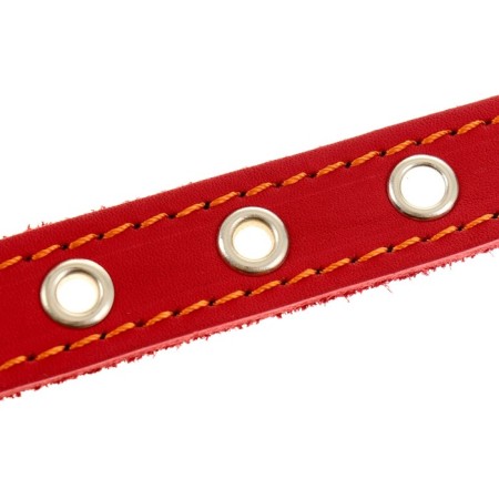 Collar leather single-layer dimensionless, 45 x 2 cm, Osh 18-39 cm, red-3