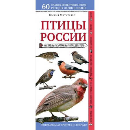 Birds of Russia. A visual pocket determiner. Mititello K.